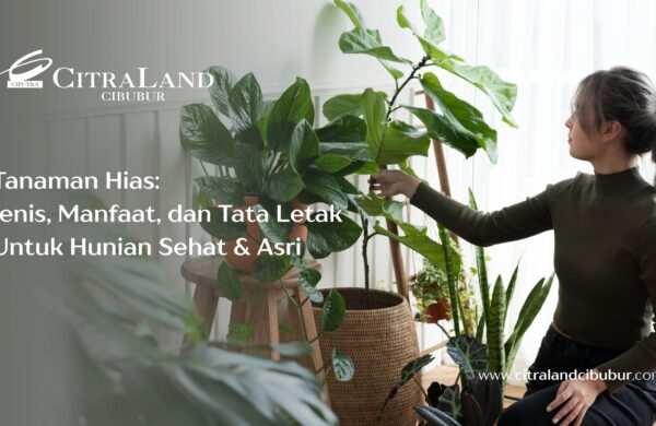 Tanaman Hias: Jenis, Manfaat, dan Tata Letak Untuk Hunian Sehat & Asri