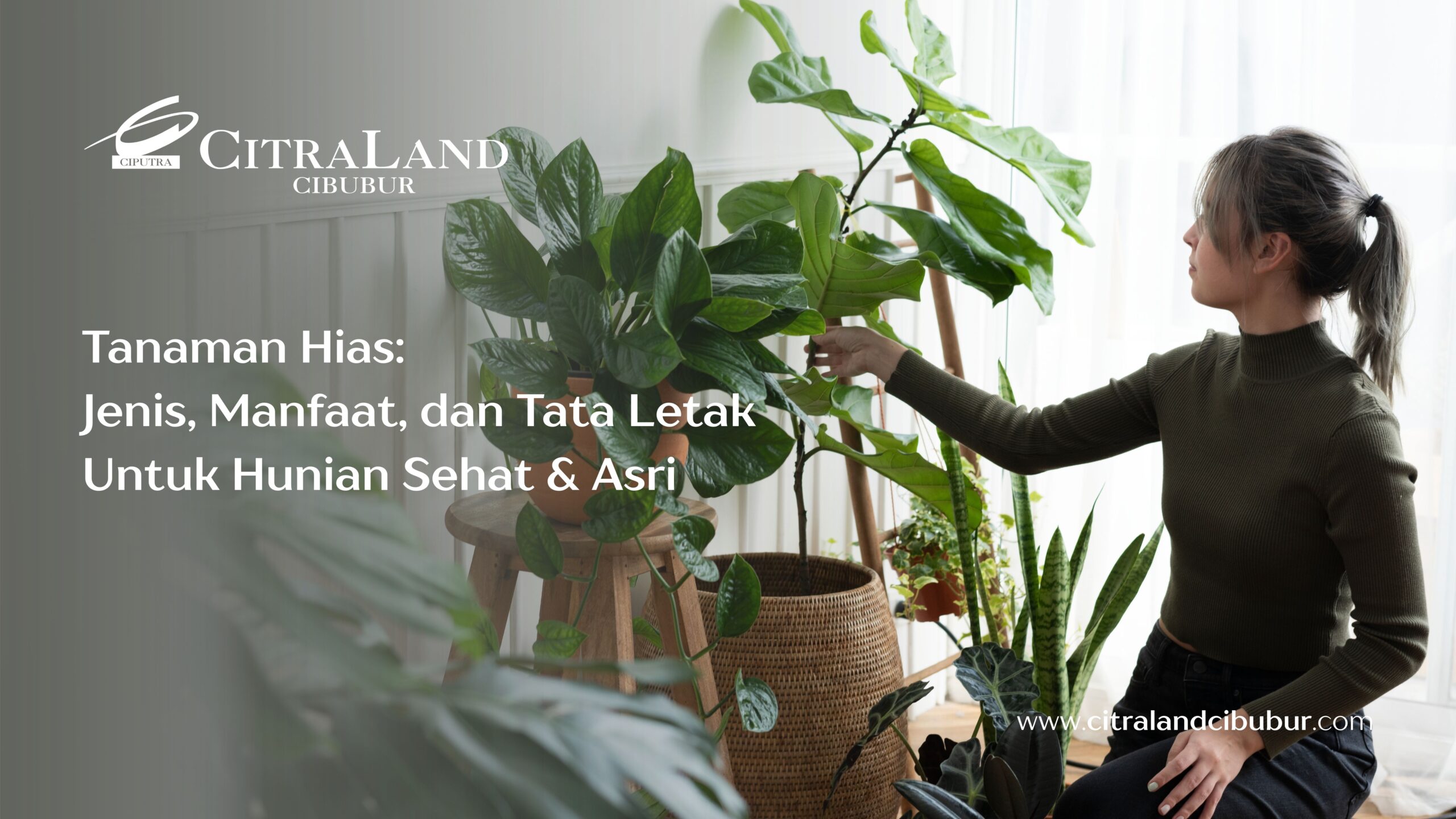 Tanaman Hias: Jenis, Manfaat, dan Tata Letak Untuk Hunian Sehat & Asri